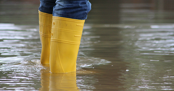 image for Staying Safe Around Floodwater